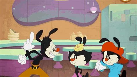 Animaniacs Yakko Animaniacs Yakko Wakko Discover Share GIFs