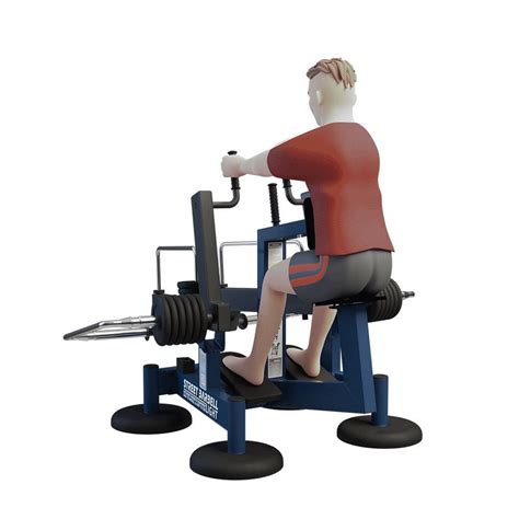 Appareil De Musculation Extension Du Dos Seated Row Robust D