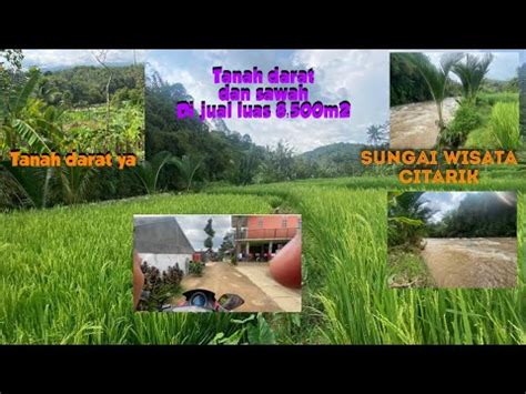 Jual Tanah Darat Dan Sawah Nyambung Sungai Citarik Akses Jl Mobil Luas