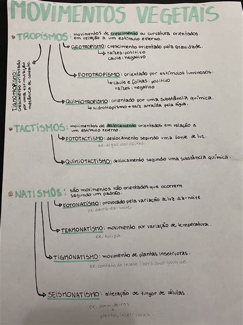 Hormonios Vegetais Mapa Mental MAPA META