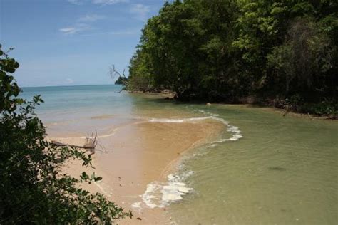 Ok beach but there are better. - Review of Pasai Beach, Ko Yao Noi, Thailand - Tripadvisor