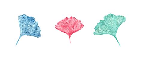 Leaf Imprints In Blue Turquoise Pink Colors Gingko Biloba Leaves