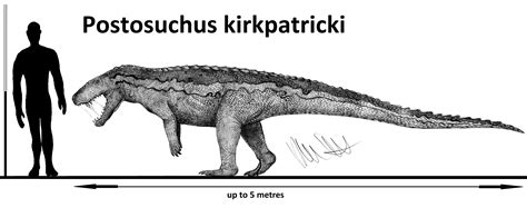 The Real Postosuchus Rnaturewasmetal