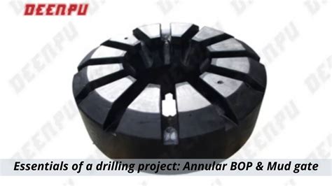 Essentials Of A Drilling Project Annular Bop And Mud Gate