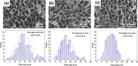 Sem Images Displaying The Cryogel Morphologies And Corresponding Pore