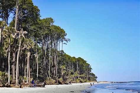 Top Rated Beaches In South Carolina Healthy Food Near Me