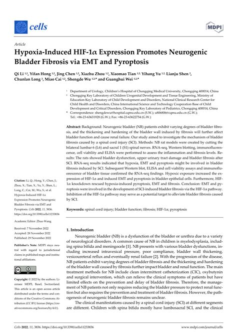 Pdf Hypoxia Induced Hif Expression Promotes Neurogenic Bladder