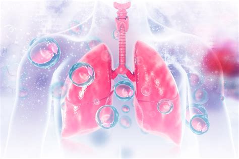 7 Simple Ways You Can Improve Your Lung Health Today Harcourt Health