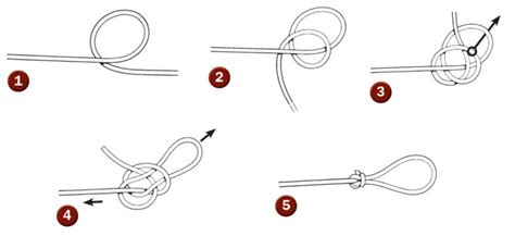 Four Loop Knots You Need To Know On The Water