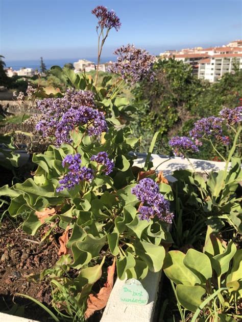 beheizter und überdachter Parque Vacacional Eden Puerto de la