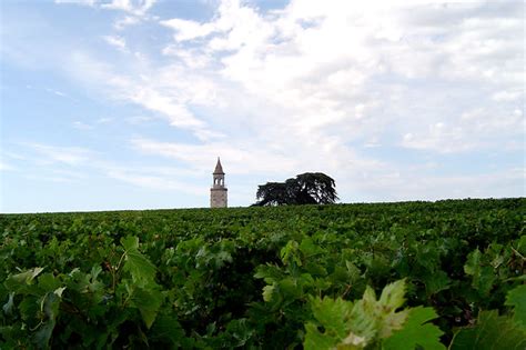 The Iconic Medoc Wine Region (10 Best Wines, Prices 2023)