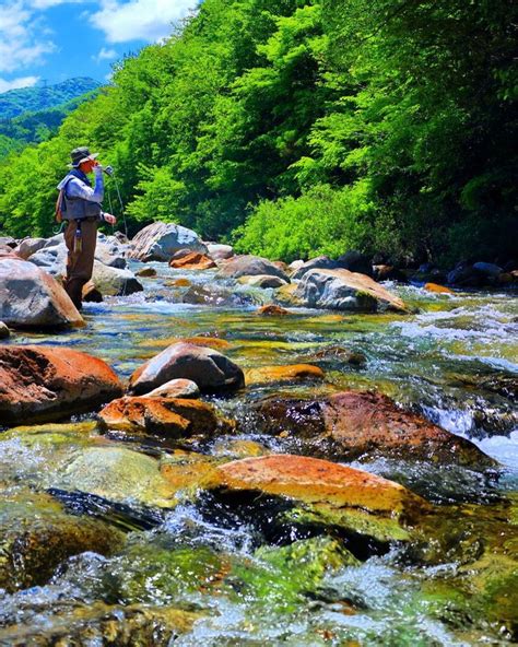 Pin By Alisha Mohammed On Pebbles River Rocks River Rock Natural