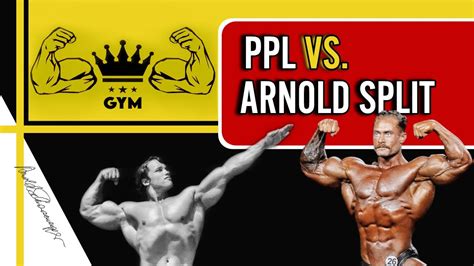 La Rutina Perfecta Ppl Vs Arnold Split Youtube