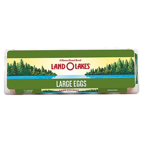 Land O Lakes 12ct Large Brown Eggs