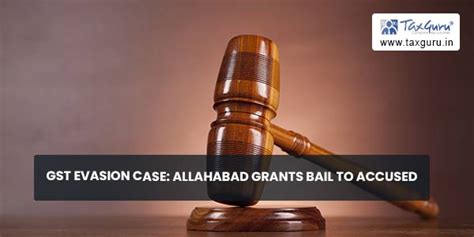 Gst Evasion Case Allahabad Grants Bail To Accused