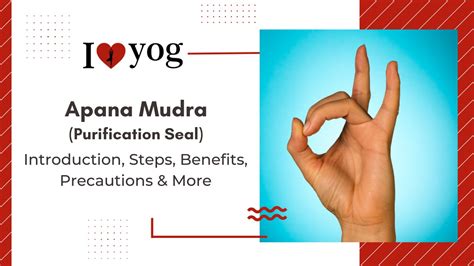 Apana Mudra: Introduction, Steps, Benefits, Precautions & More