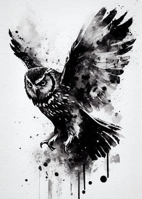 Owl Black And White Poster Picture Metal Print Paint By