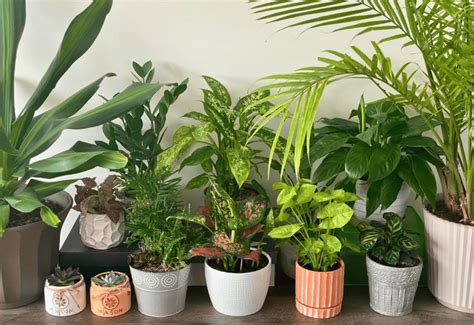 23 Creative Tree Stump Garden Decor Ideas To Spark Your Imagination