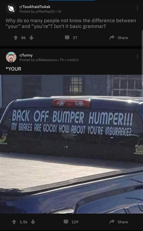 Reddit feed out here making a funny | Scrolller