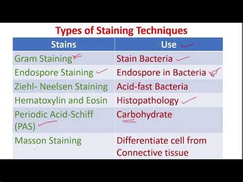 Stains Stains And Dyes Used In Lab Dmlt Microbiology