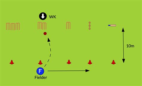 Fielding - CRICKET RESOURCE FILE