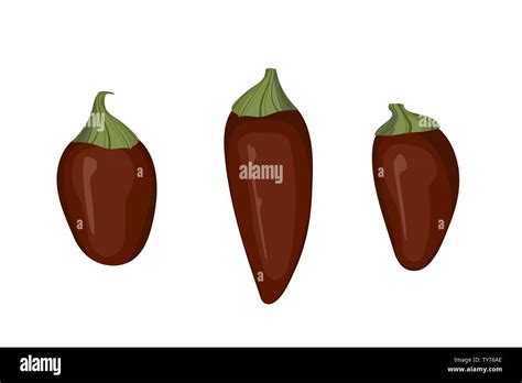 Cartoon Hot Pepper Eating Stock Vector Images Alamy