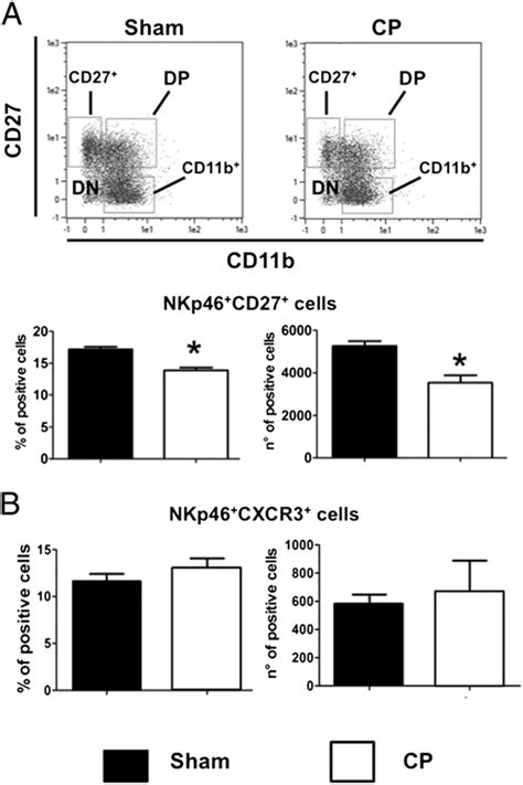 Modifications In Nk Cells Subsets After Polymicrobial Sepsis Spleen