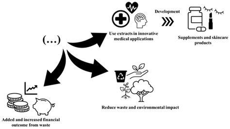 Sustainable Valorization of Tomato By-Products to Obtain Bioactive