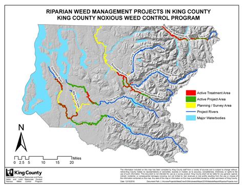 Knotweed Control Projects In King County King County