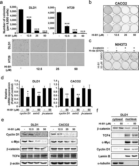 A Small Molecule Inhibitor Of The β Catenin Tcf4 Interaction Suppresses Colorectal Cancer Growth