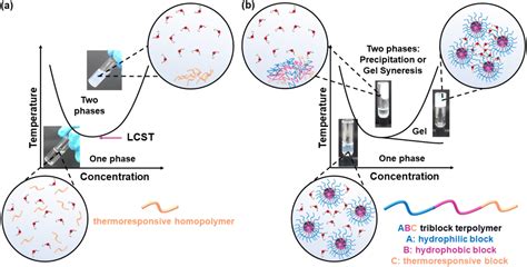 Thermoresponsive Block Copolymers Of Increasing Architecture Complexity