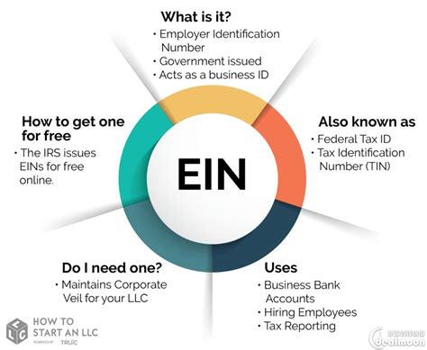 创业101🧸 如何轻松在美国申请雇主识别号 Ein 详细步骤全解析🔎