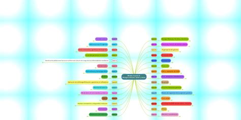 Módulo 2 Parte 3 Biología Molecular Celular Y Mindmeister Mind Map