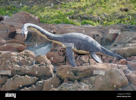 Escultura Esqueleto Augustasaurus Plesiosauria El Territorio Del