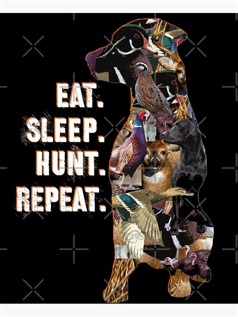 Labrador Retriever Hunting Collage With Duck Hunting Quail Hunting