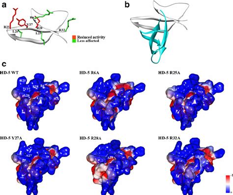 Structure Of HD 5 And Mutants A Structure Of HD 5 Monomer PDB Code