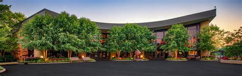 museum  creation museum