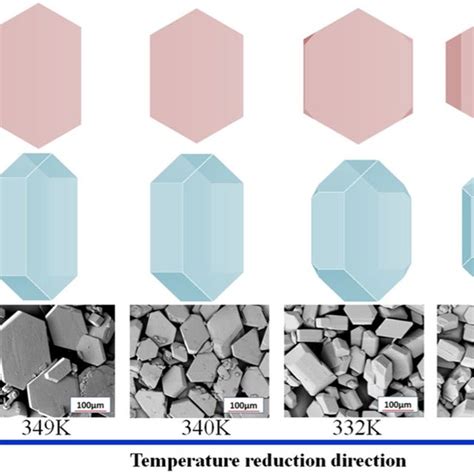 Schematic Demonstration Of The Crystal Growth Process Download