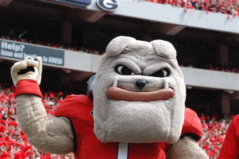 5 Must Dos For Visiting Georgia Bulldog Fans In Athens Southern Bon