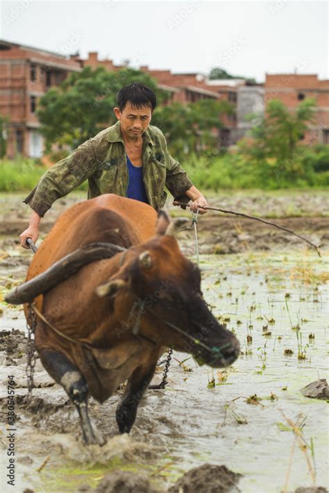 Farmer is ploughing Stock Photo | Adobe Stock