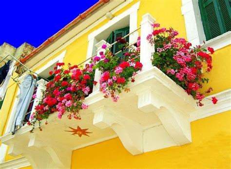 Plantes balcon de belles idées pour décorer notre extérieur