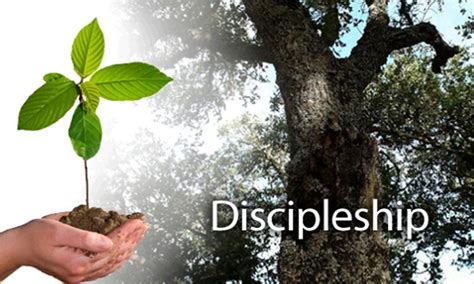 Remote Discipleship You Are Healed Ministries