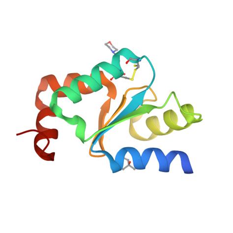 Rcsb Pdb Mzc Atomic Resolution Structure Of Pfgrx