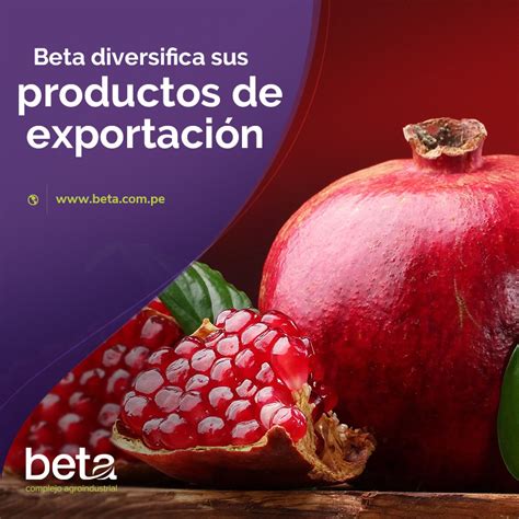 Beta Diversifica Sus Productos De Exportaci N Beta