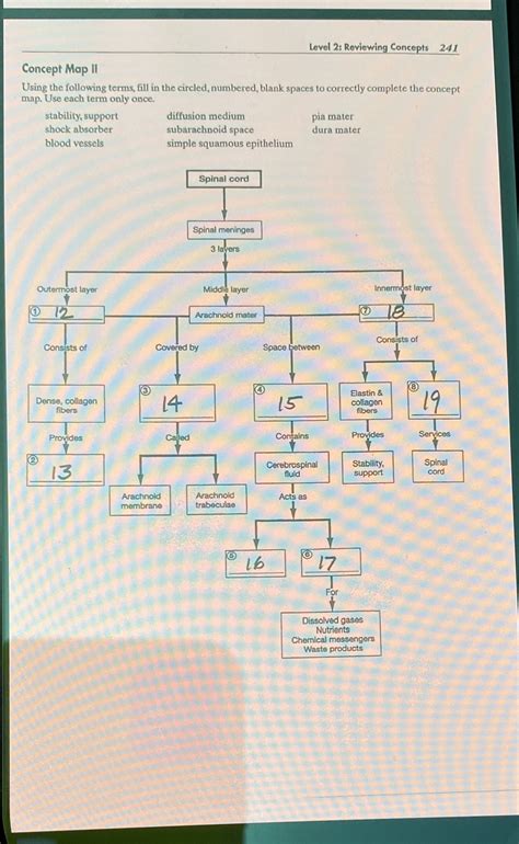 Solved Chapter 13 Part 2 Level 2 Reviewing Concepts 241 Concept Map Ii Course Hero