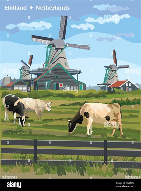 Vector Colorful Illustration Of Watermill In Amsterdam Netherlands