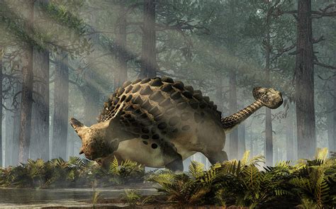 Ankylosaurus In A Forest Digital Art By Daniel Eskridge Pixels