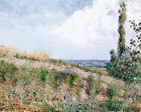 Landscape by Camille Pissarro Painting by Camille Pissarro - Pixels