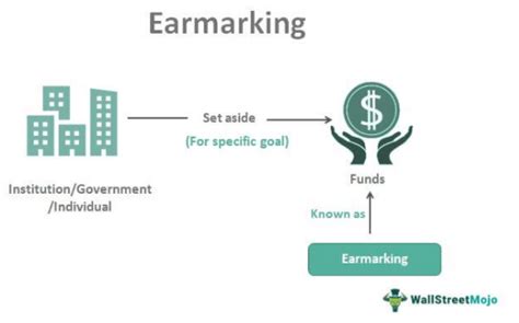 Earmarking Meaning Vs Pork Barrel Types Examples