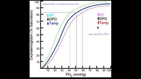 Fetal Hemoglobin Oxygen Dissociation Curve